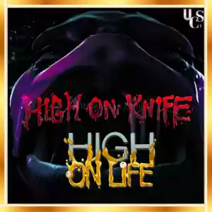 High On Life + High On Knife DLC + Garanti & [Anında Teslimat]