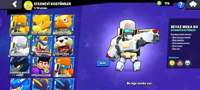 176 Elmaslı 2 Sezonlu Hesap