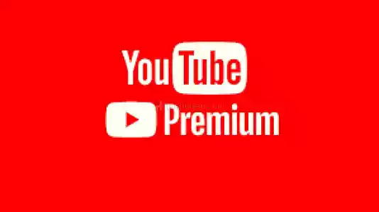 1 Ay Garantili Youtube Premium + Disneyplus + Garanti