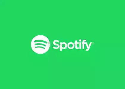 Spotify Premium 1 Aylık