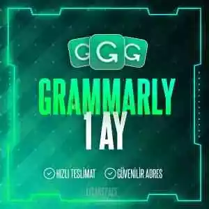 Grammarly - 30 Gün