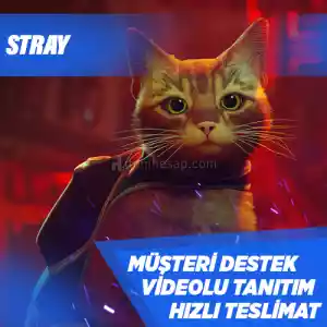 Stray Steam [Garanti + Destek + Video + Otomatik Teslimat]