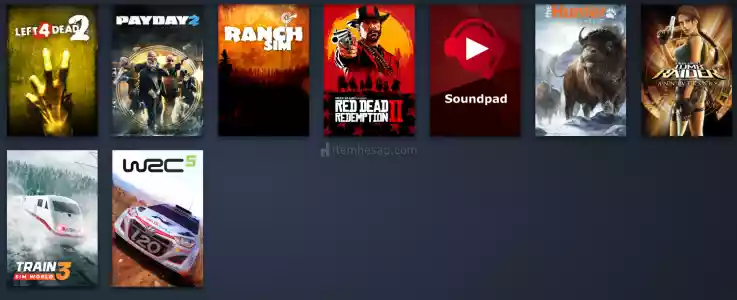 Steam Hesabı