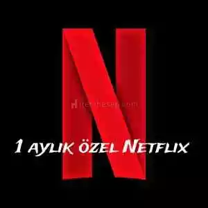 Netflix 1 Aylık Özel Hesap