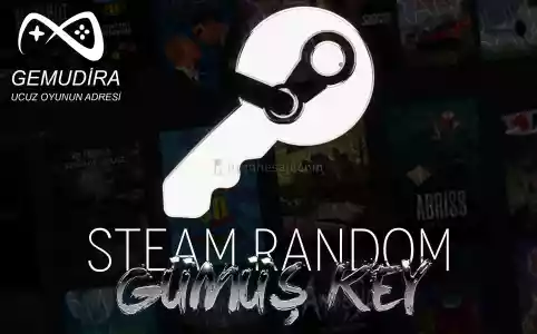 (+2$) Steam Random Gümüş Key
