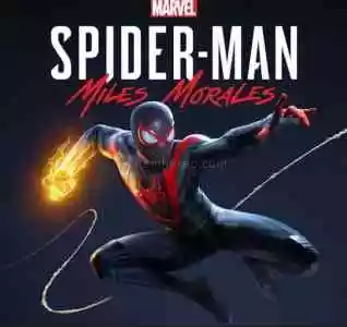Marvel Spiderman Miles Morales Garanti