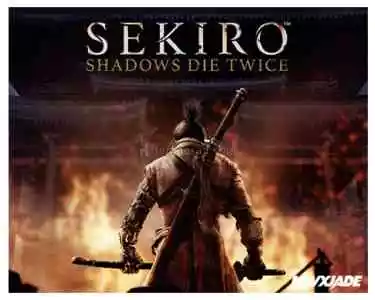 Sekiro: Shadows Die Twice + PS4/PS5