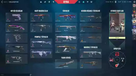 Ömürlük Dolu Dolu Hesap