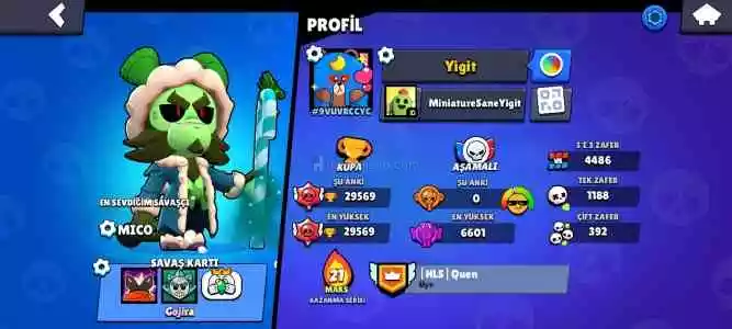 Brawl Stars Bol Skinli Hesap