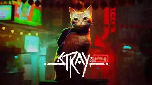 Stray + Garanti (Steam)