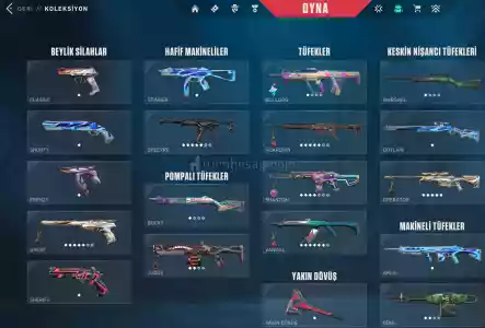 Çok Skinli Valorant Plat Hesap(3000 Tl Den Fazla Harcanıldı)