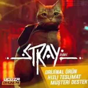 [Guardsız] Stray + Garanti