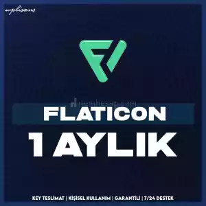 Flaticon 1 Ay