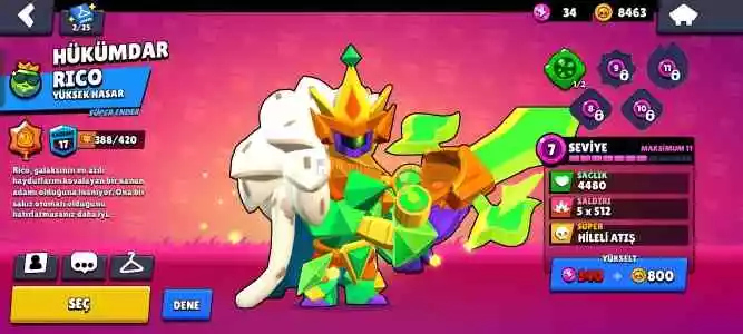 10K Kupa Kasılmalık Hesap