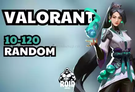 Valorant 10-120 Skin Random Hesap