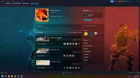 7 Yıllık Hesap Cs Go Seçkin Ets2 Fifa 21-22-23