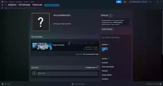 Project Zomboid Online Hesap