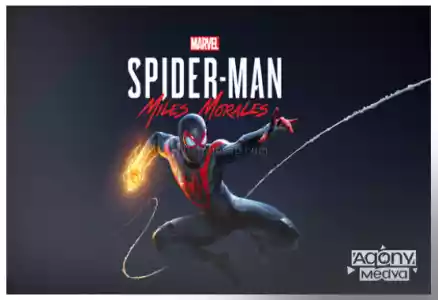 Marvel's Spider-Man: Miles Morales + Garanti