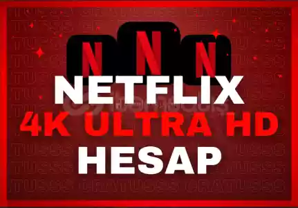 Netflix Premium Hesap 1 Aylık