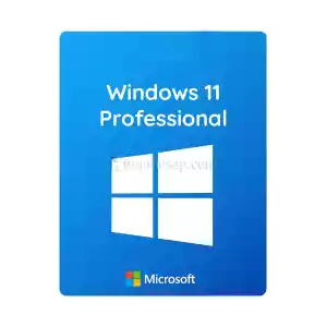 Windows 10/11 Pro Key Sınırsız