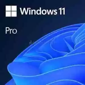 Windows 10/11 Pro Key