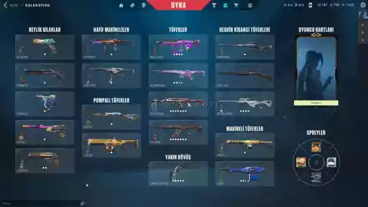 343 Lvl Aracne Şerifli Hesap