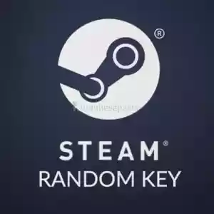 Elite Steam Random Key