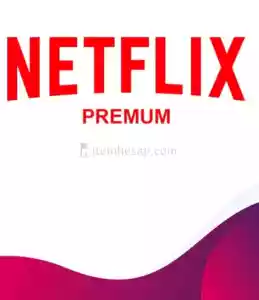 Netflix Premium Hesap