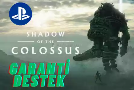 SHADOW OF THE COLOSSUS PS4-PS5