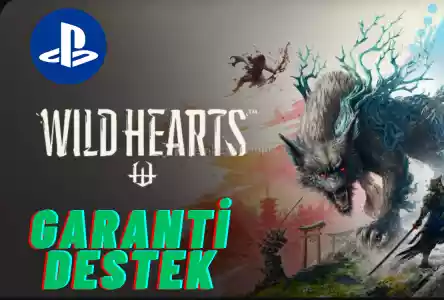 WİLD HEARTS PS5