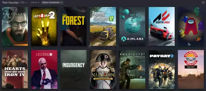 Bol Oyunlu Steam Hesabı (Fıfa23 Var)