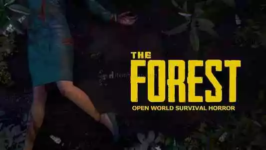 The Forest + Garanti