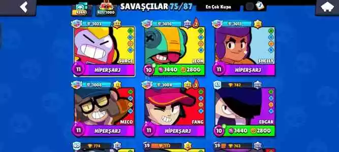 43600 Kupalik Bs Hesabı