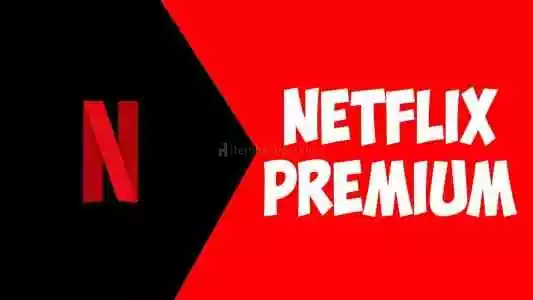 Netflix 1 Aylık Premium Hesap