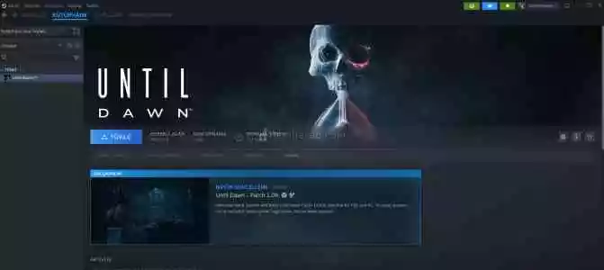 UNTİL DAWN TAM STEAM HESABI