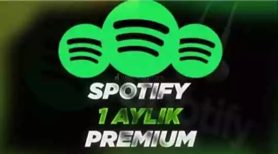 Özel 1 Aylık Spotify Premium Hesab