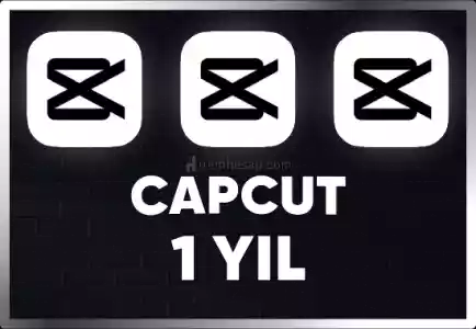 CAPCUT PRO | 1 YIL