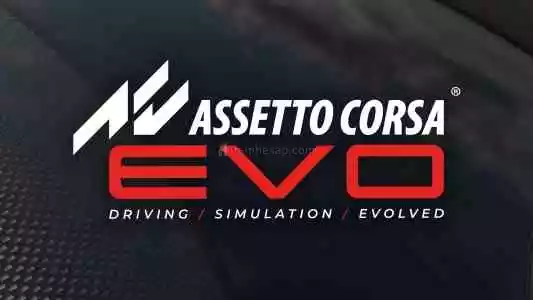 Assetto Corsa EVO + Garanti