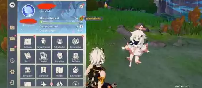 Raiden + Yaomiya Hesap