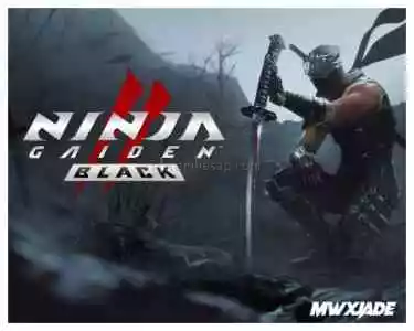 Ninja Gaiden 2 Black + PS5