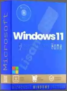 Windows 11 Home Etkinleştirme Key