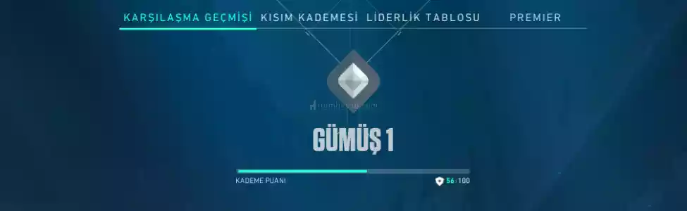 Tr - Gümüş- Mail Değişen - Ultra Düşük Mmr