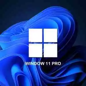Oem Windows 11 Pro (Online Aktivasyon)