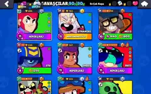 Brawl Stars Hesabı