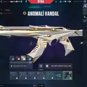 5500 TL Yatırılmış Dopdolu İLK Maiilli Hesap