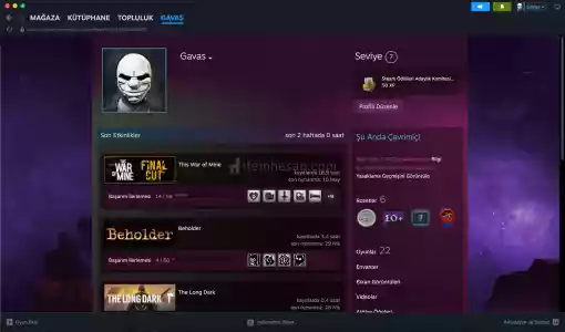 steam uyguna 32 oyunlu kişisel hesap gta5, hoi4, forza horizon 4, sons of the forest, pes21