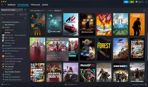 steam uyguna 32 oyunlu kişisel hesap gta5, hoi4, forza horizon 4, sons of the forest, pes21