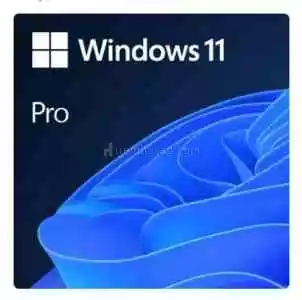 Windows 10/11 Pro Key