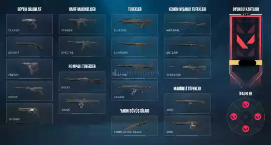 Yağmaci Vandal - TR Hesabi