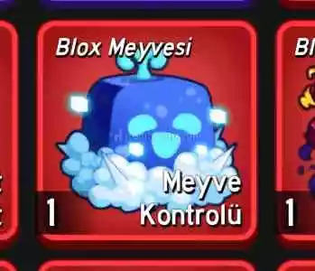 Kontrol meyvesi
